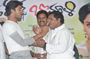 Brother Of Bommali Movie Success Meet